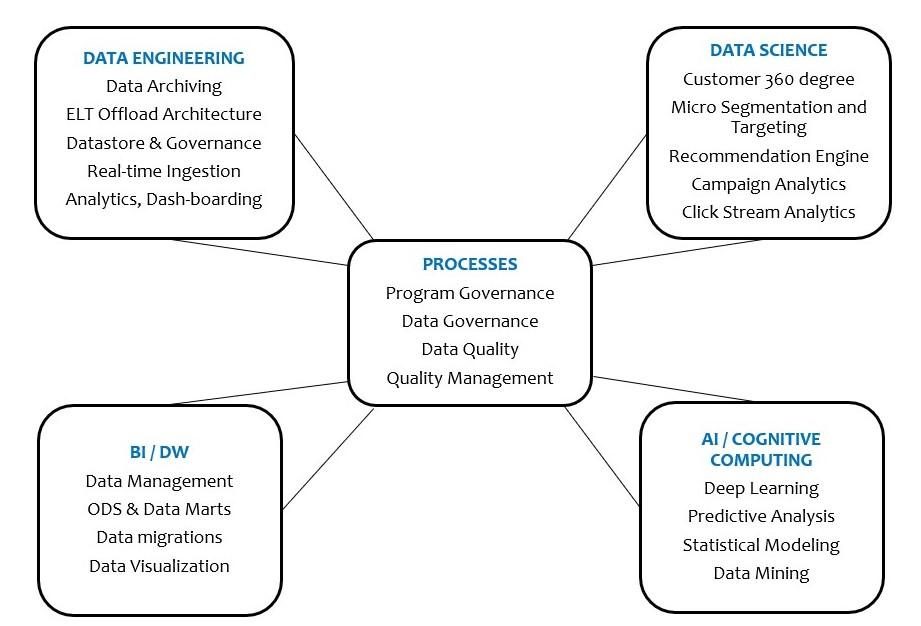 Decision Culture capability map: data engineering, data science, BI and data warehousing, and AI and cognitive computing around a shared process