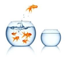 Customer retention illustration from the original case study