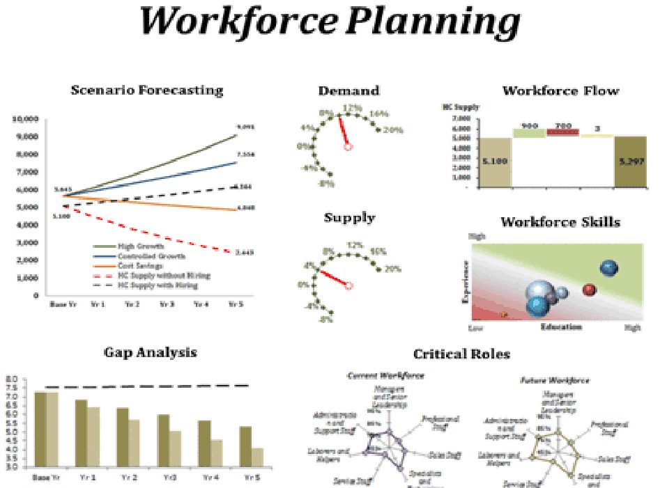 Workforce planning illustration from the original case study