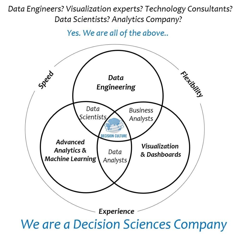 Venn diagram: data engineering, advanced analytics and machine learning, visualisation and dashboards overlap to form a decision sciences company